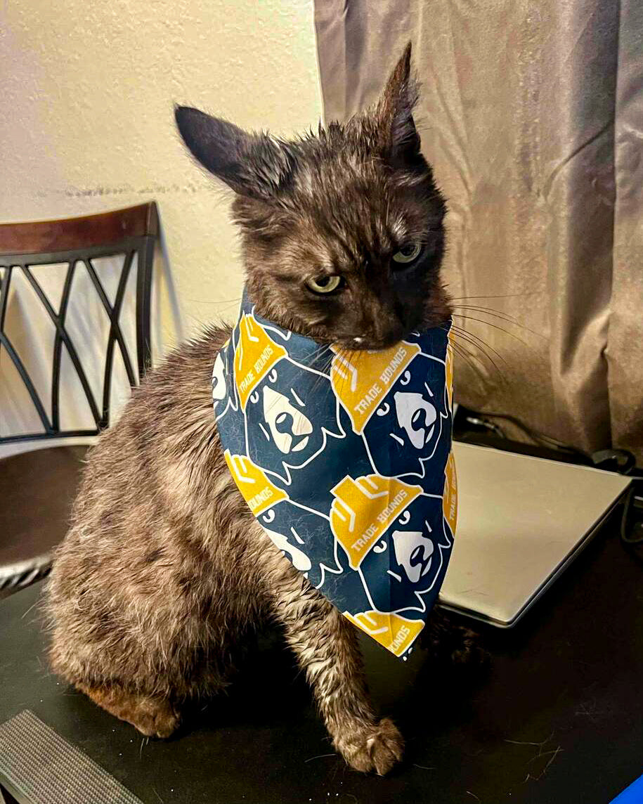 Trade Hounds Bandana