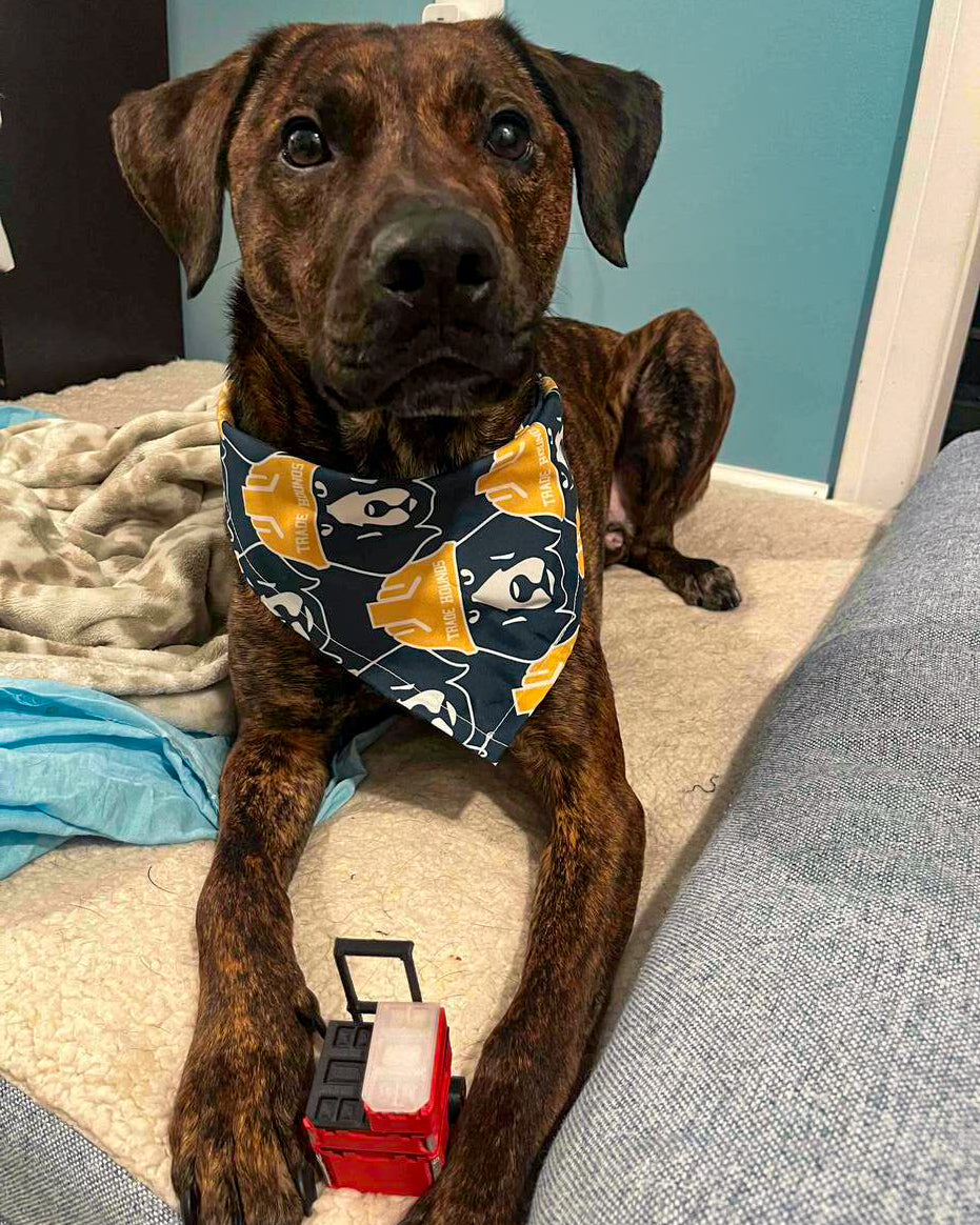 Trade Hounds Bandana