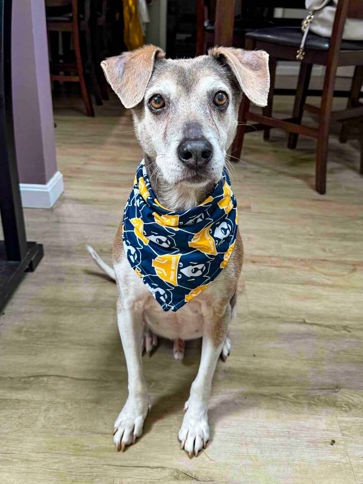 Trade Hounds Bandana
