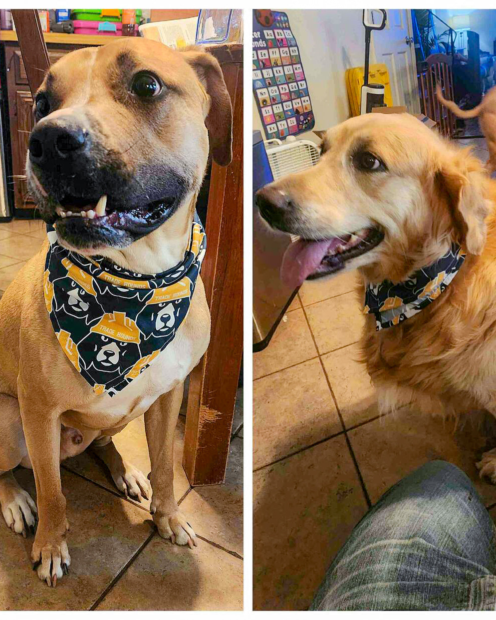 Trade Hounds Bandana