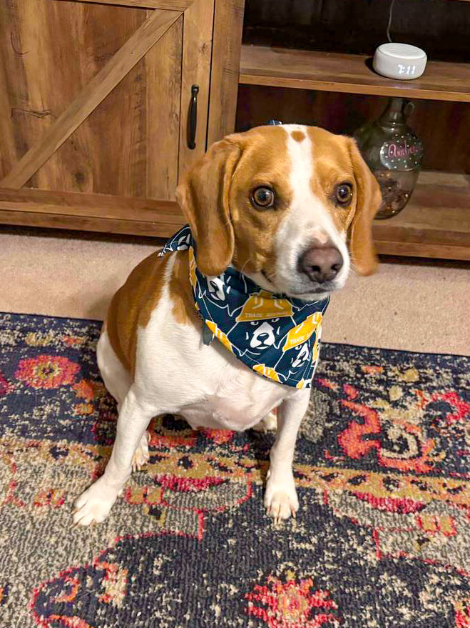 Trade Hounds Bandana